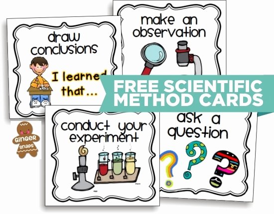 Scientific Method for Kids Worksheets 10 Scientific Method tools to Make Science Easier Teach Junkie
