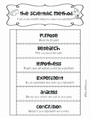 Scientific Method for Kids Worksheets Scientific Method Worksheet High School