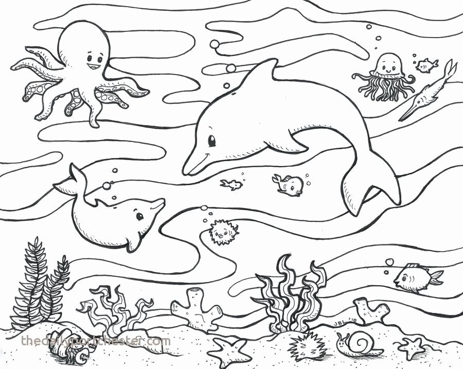 Sea Animal Worksheets 17 Inspirational Ocean Animals Coloring Pages
