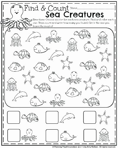 Seasons Worksheets for Kindergarten Summer Worksheets for Kindergarten