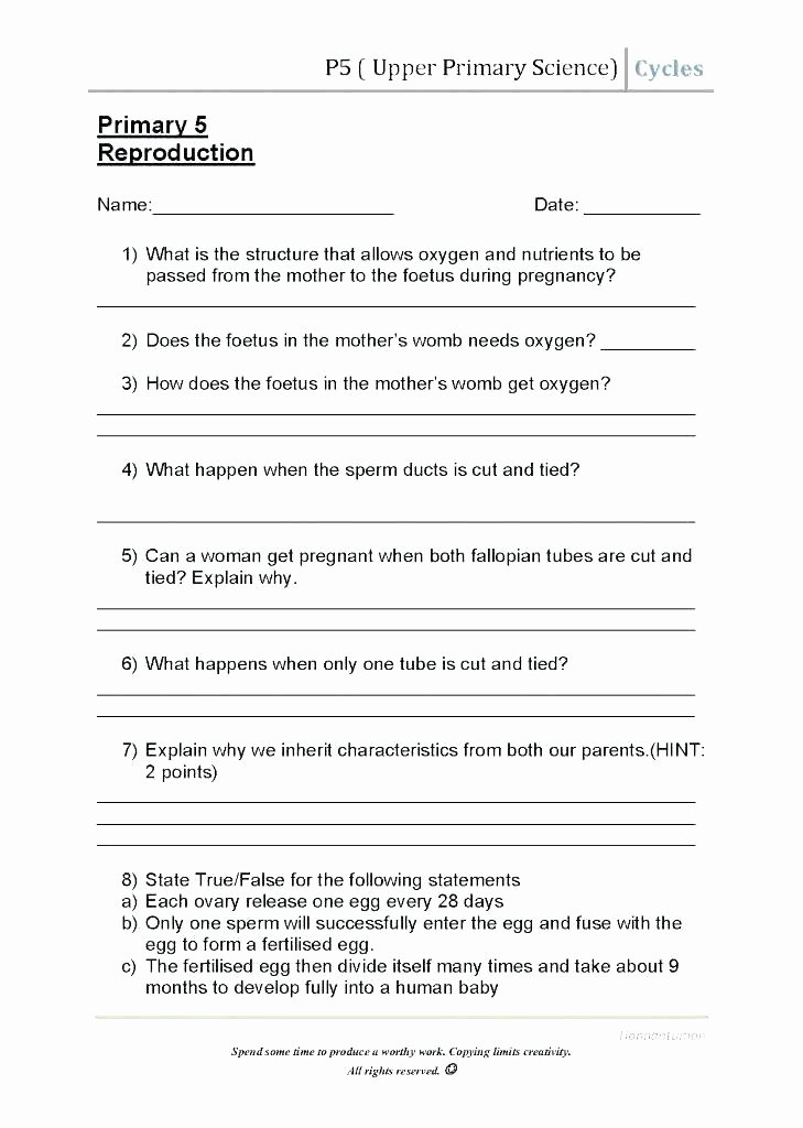 Second Grade Science Worksheets Free Free Printable Grade Science Worksheets for All Rocks 7