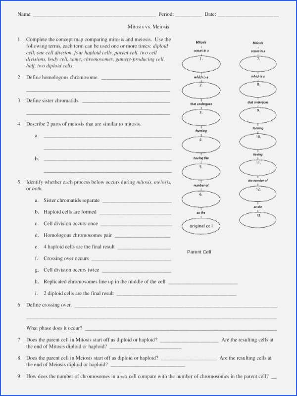 Self Control Worksheets Mendel and Meiosis Worksheet Answers &amp; 440 X 320 440 X 320