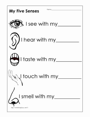 Sense Of Smell Worksheets Free Worksheet English for Preschool