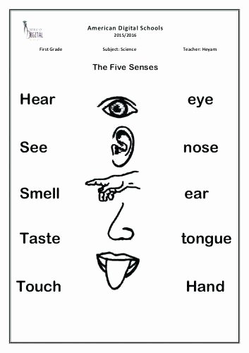 Sense Of Smell Worksheets Preschool Spanish Worksheets