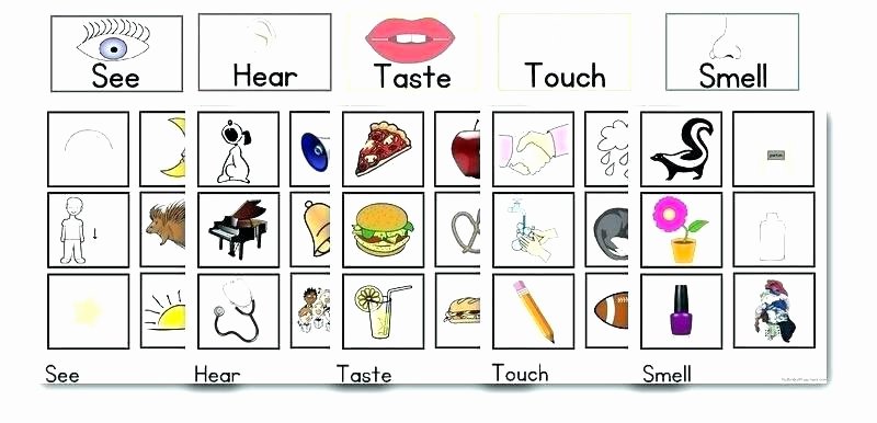 Sense Of Taste Worksheets Free Printables for Teachers Preschool