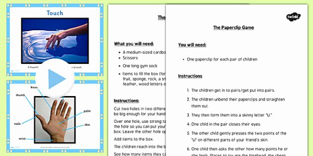 Sense Of Taste Worksheets Science Senses 5 Tastes Powerpoint and Worksheets Teaching