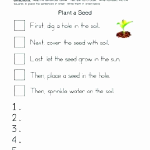 Sequencing events Worksheets Grade 6 soil Worksheets for 1st Grade Free Worksheets Grammar R
