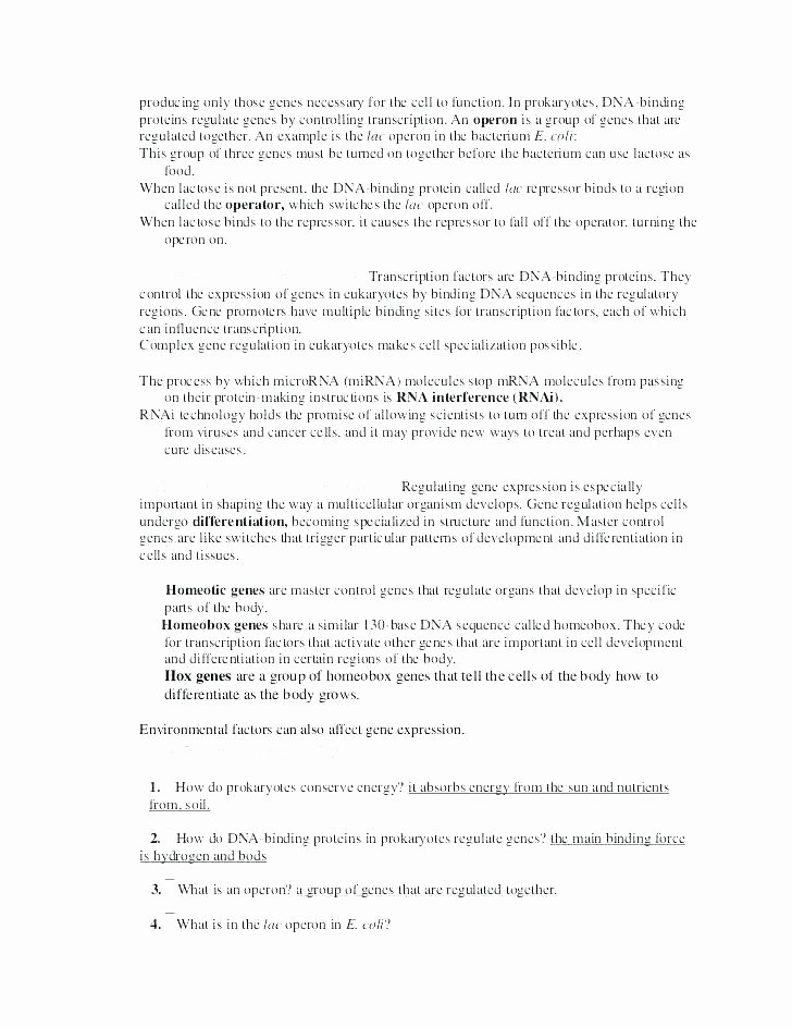 Sequencing events Worksheets Sequencing events Worksheets for Grade 1 Image Result