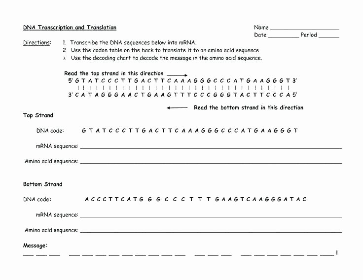 Sequencing Worksheets Middle School Grade Worksheet Category Page 1 Elite Spelling Worksheets