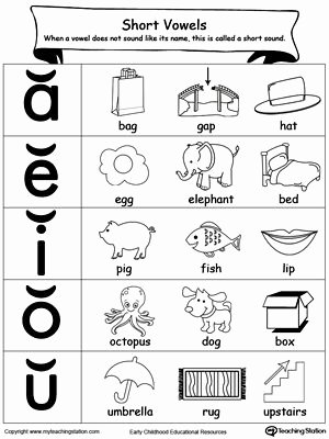 Short O Worksheets for Kindergarten Short Vowels sound Picture Reference