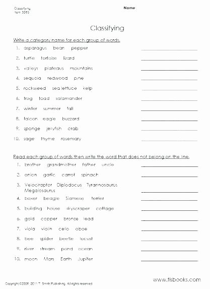 Sixth Grade social Studies Worksheets Science Worksheets for Grade 4 sound Lovely Holiday Ready