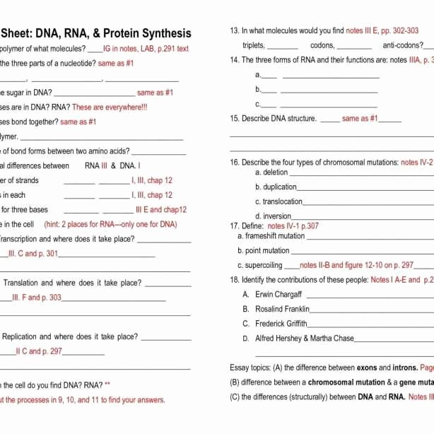 Skills Worksheet Dna Structure 22 Luxury Dna Rna and Protein Synthesis Worksheet Answers