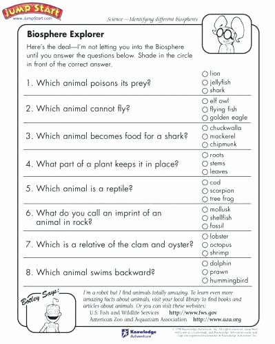 Social Studies Worksheet 3rd Grade 3rd Grade social Stu S Worksheets First Grade social