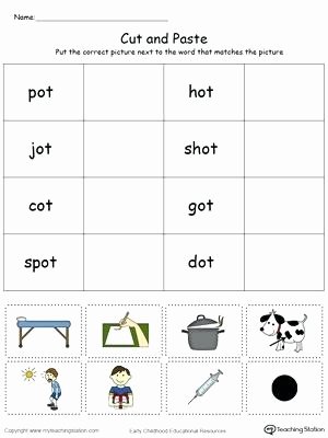 Sorting Worksheets for Kindergarten Categorizing Worksheets for Kindergarten