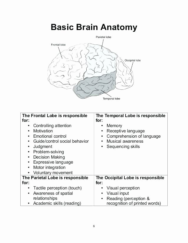 Spatial Relations Worksheets Unique Visual Discrimination Memory Worksheets for Dementia Memory