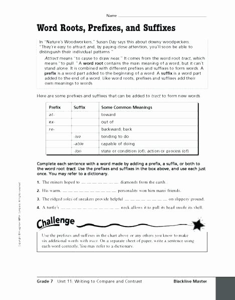 Suffix Worksheets 4th Grade Grade Prefixes and Suffixes Worksheets Inspirational