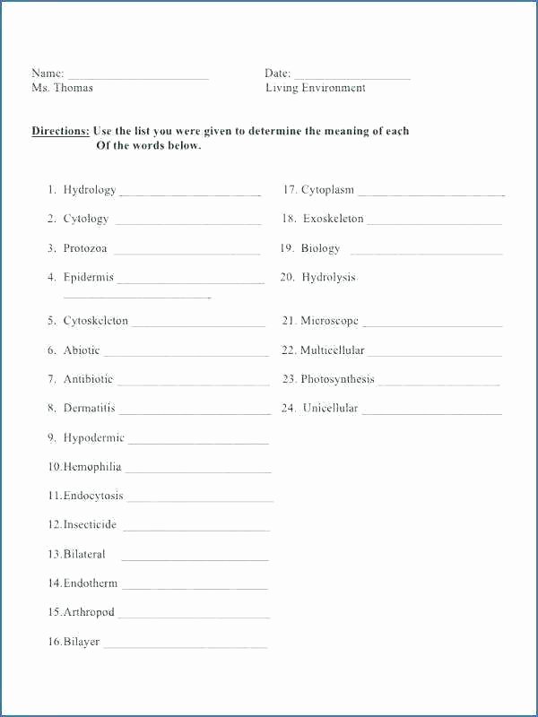 Suffixes Worksheets for 3rd Grade Prefix and Suffix Worksheets 3rd Grade Prefixes Suffixes K
