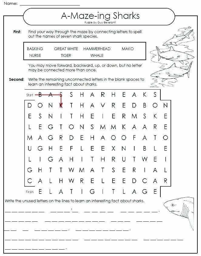 Super Teacher Worksheets Homophones Grade Math Line assessment Printable Worksheets Free