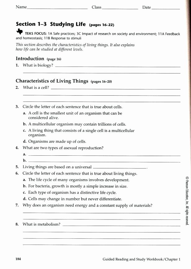 Teaching Independent Living Skills Worksheets Basic Living Skills Worksheets Free Printable social