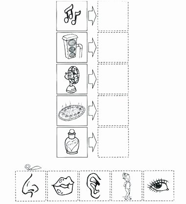The Five Senses Worksheets Fall Cut and Paste Worksheets Reading for by First Grade