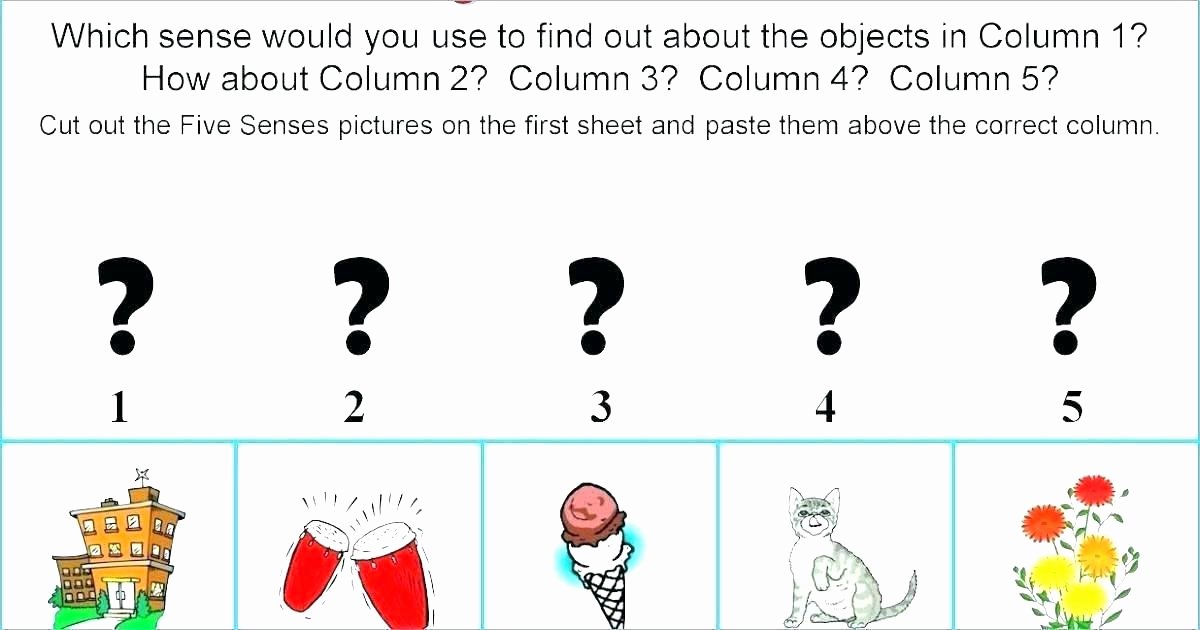 The Five Senses Worksheets Preschool Science Worksheets Pdf