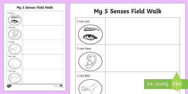 The Five Senses Worksheets Sensory Images Worksheets