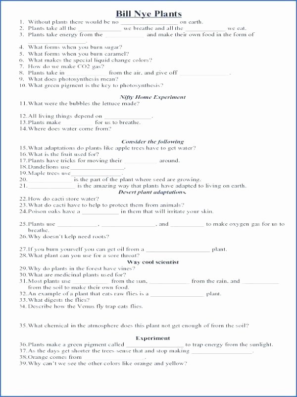 The Yellow Wallpaper Worksheet Answers 15 Contractions Grammar Worksheets Paycheck Stubs