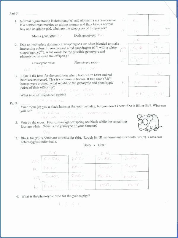 The Yellow Wallpaper Worksheet Answers Monohybrid Cross Worksheets Answers – butterbeebetty