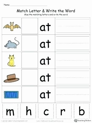Three Letter Words In Hindi Three Letter Words Worksheets 2