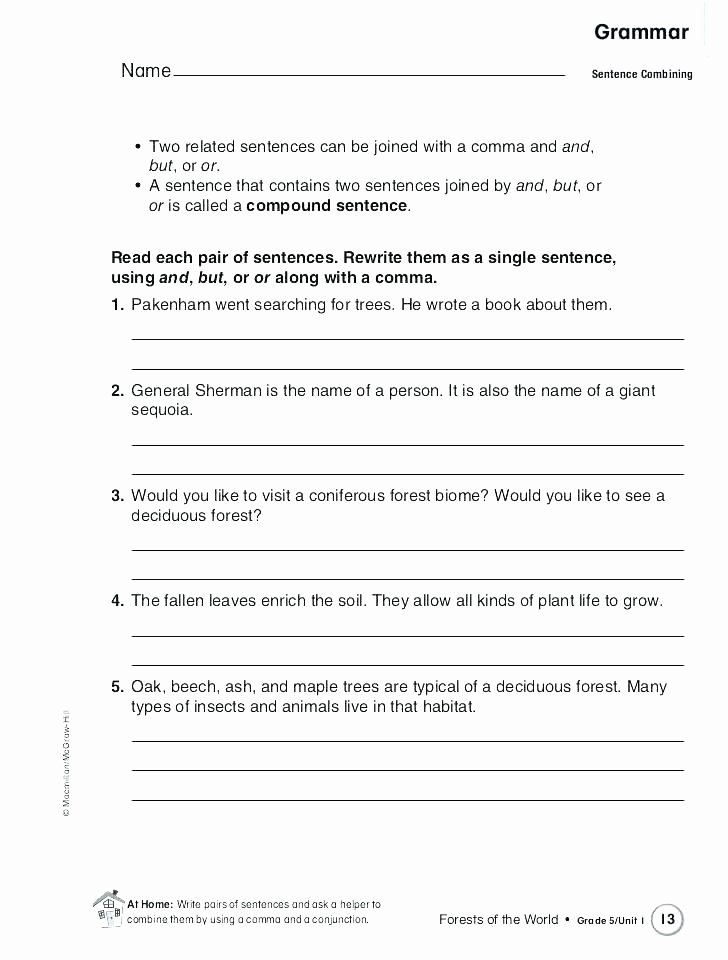 Topic Sentence Worksheet 2nd Grade topic Sentence Worksheet Unique Grade 3 Grammar Worksheets