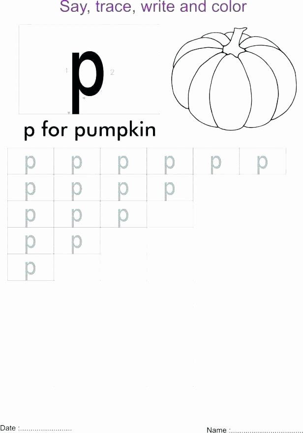 Tracing Lowercase Letters Printable Worksheets Letter P Worksheets Free Printable B Tracing Writing for