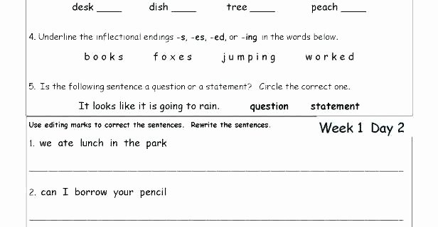 Transition Words and Phrases Worksheets Math Worksheets Positional Words Worksheets Free Printable