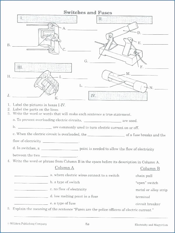 Two Dimensional Shapes Worksheets 2 and 3 Dimensional Shapes Worksheets – Trungcollection