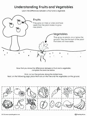Vegetables Worksheets for Kindergarten Kindergarten Science Worksheets