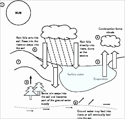 Water Cycle Worksheet Kindergarten Free Water Cycle Worksheets Printable for Kindergarten